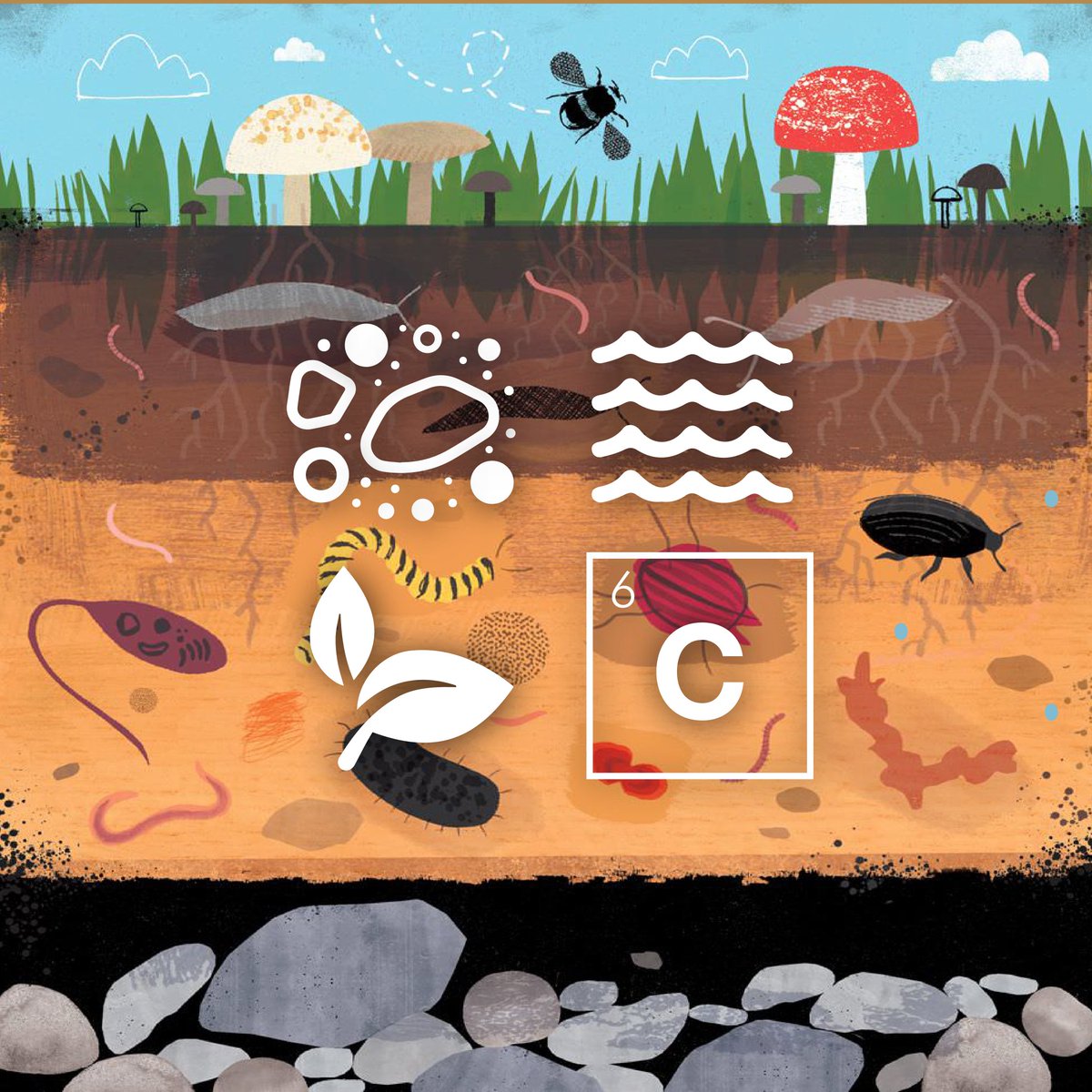 Compostwali's tweet photo. What is the value of our land? The land stores soil, water, carbon and food. Imagine a life without any one of the above! #2018WDCD #landdegradationneutrality #DLDD #land #degradation #desertification #landmatterstoclimate #combatdesertification #layersofsoil #soilandwater @UNCCD https://t.co/QsYc21Yz3r