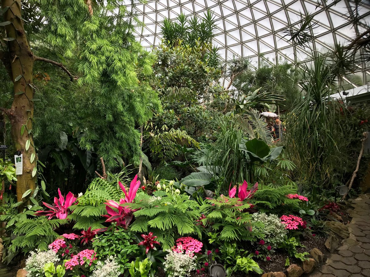 Bloedel Conservatory #QEPark #Vancouver @ParkBoard @FriendofBloedel @BloedelConserv @Gardens_BC @MyVancouver #Horticulture #GreenJewel 
#exploreBCgardens 
#contest #Vancouver #yyj