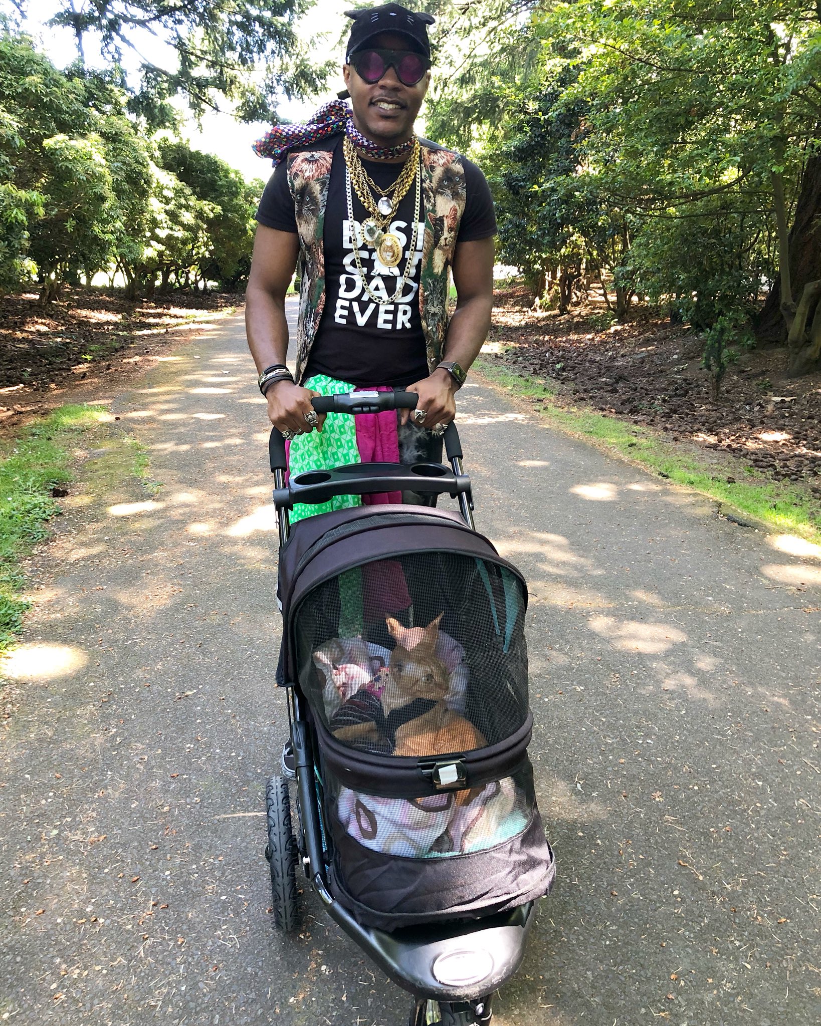 iAmMoshow - The Cat Rapper ™ on Twitter: