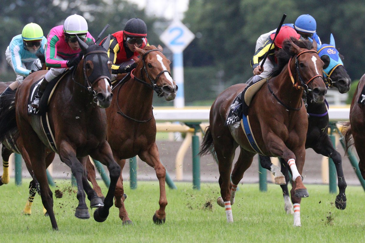 6/16 東京10R デルニエオール 彼女のために桜花賞行くか迷ったぐらい会