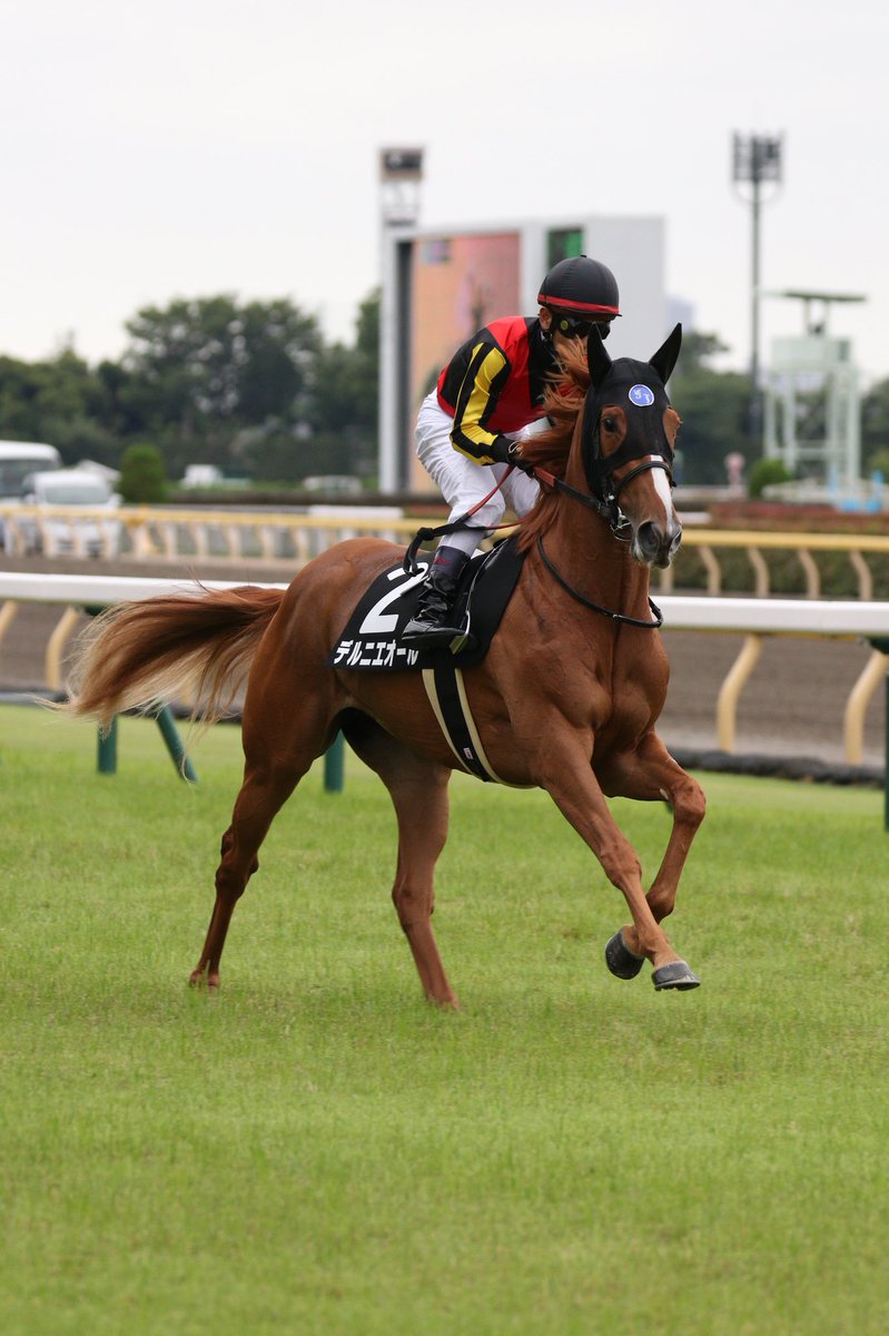 6/16 東京10R デルニエオール 彼女のために桜花賞行くか迷ったぐらい会