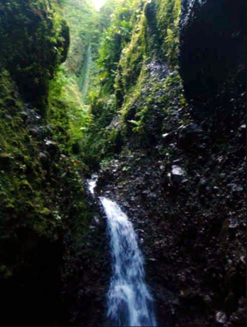 N°21: Pour les + déterminés, les plus experts, vous pourrez oser les canyons de la Grande Rivière, les plus long et les plus difficiles des Petites Antilles. La grande rivière fait de très hautes cascades et a cause de la longueur des canyons il faut passer la nuit dans la Pelée