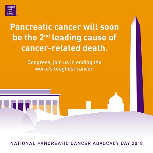 PanCANWV's tweet photo. Pancreatic cancer will soon be the 2nd leading cause of cancer-related death. Congress, join us in ending the world’s toughest cancer. https://t.co/8D55zrvS3M #PANCaware @SenCapito @Sen_JoeManchin @asantilli1 @RepMcKinley @RepEvanJenkins @RepAlexMooney @Sen_JoeManchin https://t.co/kHFWNs0PFe