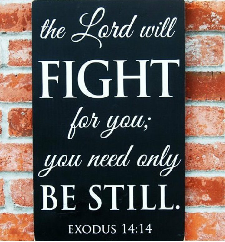 Ms_DeeDivine's tweet photo. The Lord will...
#Summer #GoodVibes #Positive #LifeCoach #Grow #Food4Thought #Wisdom #WordsOfWisdom #OneToGrowOn #Inspire #Encourage #Excellence #Success #Lifestyle #Love #Loyalty #Happy #AlphaLadies #Gentlemen #Ladies #Men #Women #Kings #Queens #FollowMe https://t.co/gYHtsNodwZ