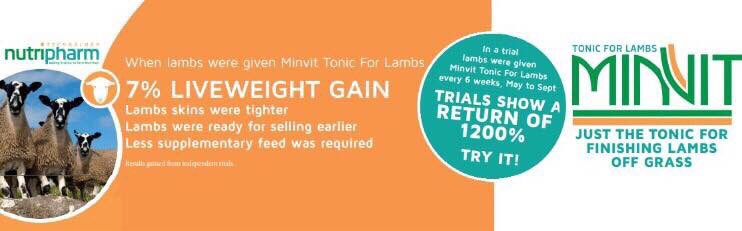 GrowNutri's tweet photo. From farmers to farmers. 👩🏼‍🌾
A commercial sustainable product with proven results. @GrowNutri provide a confident return in #MINVIT after 20 years use in our commercial &amp; pedigree flock.
Developed and manufactured by an independent Pharmacist in the UK. 🇬🇧 #sheep365 https://t.co/AkQcR9lFlf