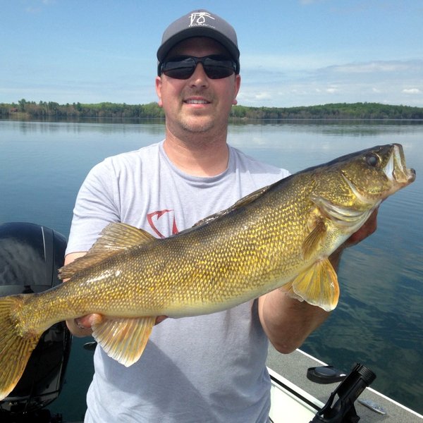 Fishidy's tweet photo. Doesn't get much prettier than that - great catch logged on @Fishidy! #walleyefishing #monsterwalleye #fishigforeyes #trophywalleye #butternutlake #wisconsinfishing #fishidy #fishingmaps #fishingapp https://t.co/u6rIYGrbZL