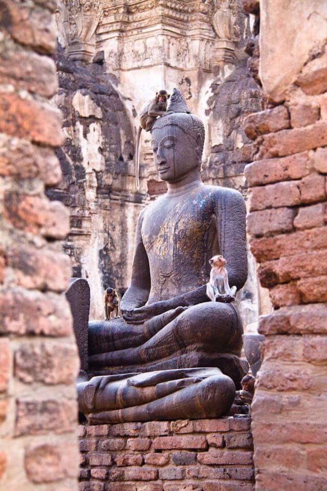 JoshBulriss's tweet image. Ultimately, the source of happiness and joyfulness is within ourselves.
     — Dalai Lama XIV