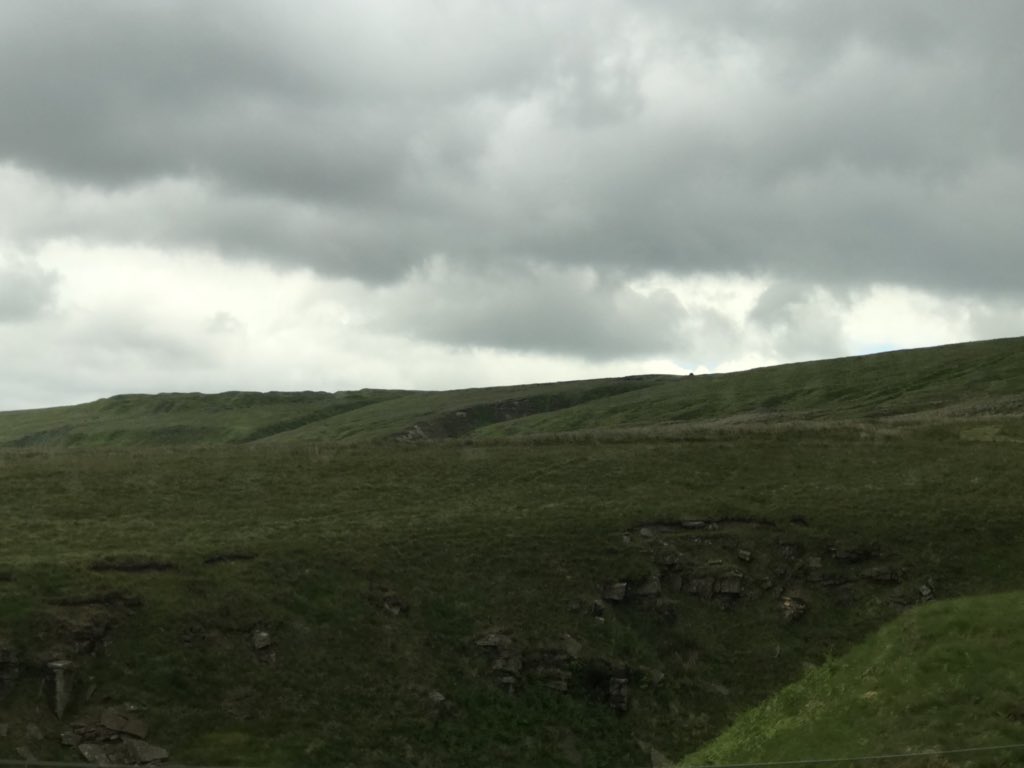 courtney tweet media