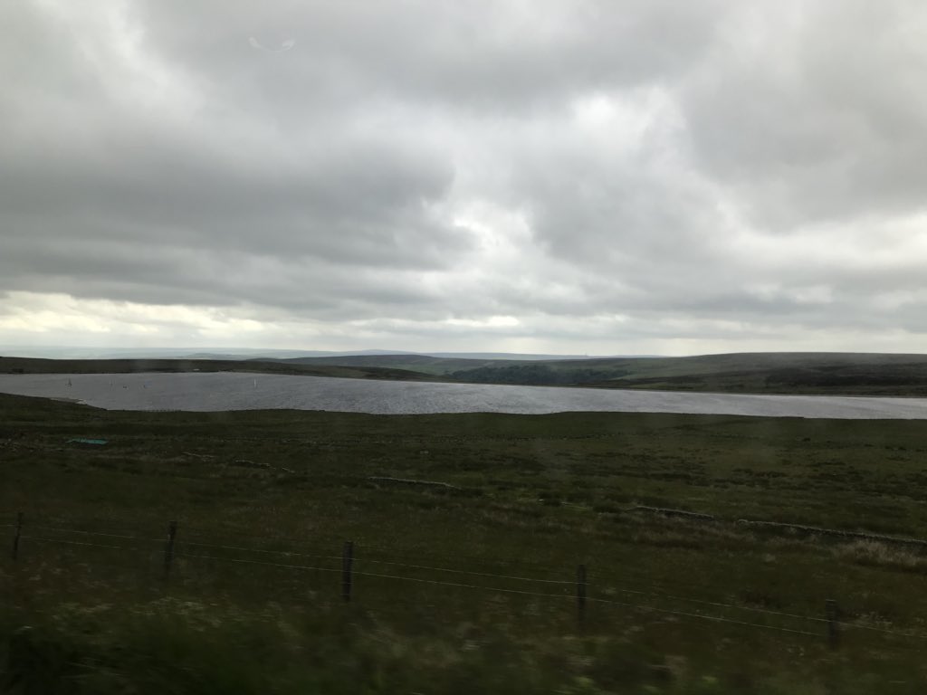 courtney tweet media