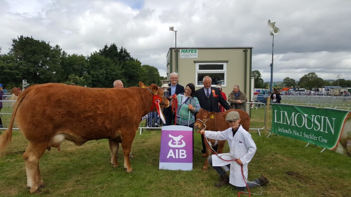 ekelleher_'s tweet photo. Great turnout today at the Cork Summer Show. Congratulations to all the winners! @CorkSummerShow @AIBBiz https://t.co/mW3Esd3mzw