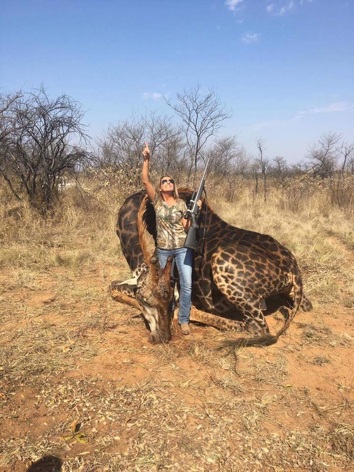 White american savage who is partly a neanderthal comes to Africa and shoot down a very rare black giraffe coutrsey of South Africa stupidity. Her name is Tess Thompson Talley. Please share