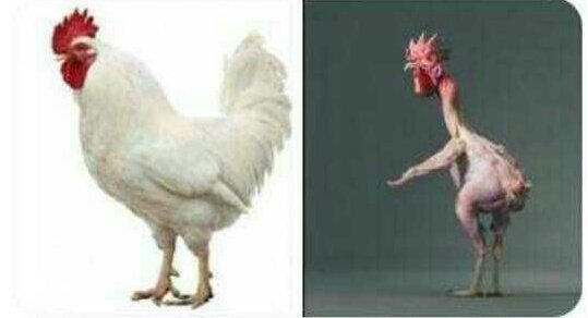 Azaerii's tweet photo. Nigerian players on social media vs Nigerian players on the pitch #WorldCup https://t.co/f0UVfNc4p2