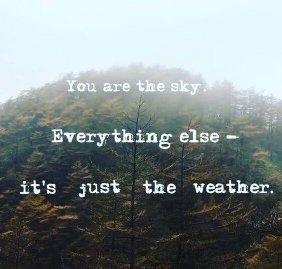 lucyscul's tweet photo. #saturdayinspiration https://t.co/j0F4eYNoH6