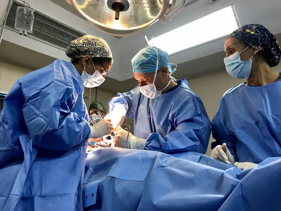LuisLopezPSUV's tweet photo. ZULIA | Con el Plan Quirúrgico Nacional, 430 pacientes se han beneficiados en cirugías de alta, mediana y baja complejidad en el Hospital Universitario de Maracaibo y CDI del Bajo @NicolasMaduro @OmarPrietoGob #RenovaciónDeFuturo https://t.co/AP6eKzy28S