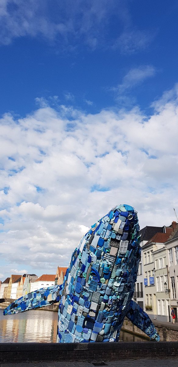 Stephan Janssen ☕️🧠🧞‍♂️ tweet media