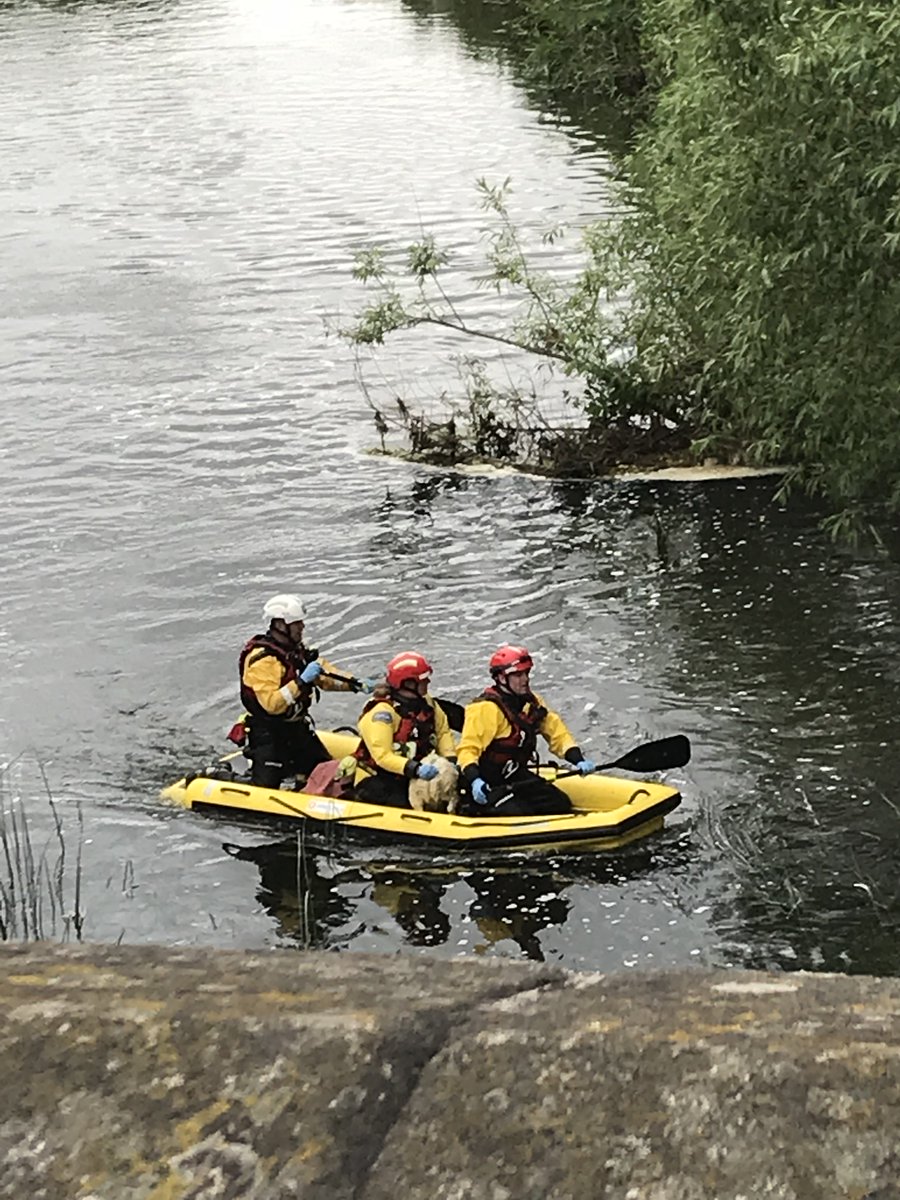 tvp_mk's tweet photo. Road now fully open on Bridge Street, Olney after a successful rescue of a little lamb in the water. Amazing joint effort from @Bucksfire &amp; RSPCA who made the whole operation look effortless. #MKNorthNHPT #Workingpartnerships #Thesheepmadeit #C9551 #C9196 https://t.co/YgCrZfGKO4