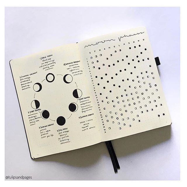 ScribeDelivery's tweet image. 🌙 .
Photo: @tulipsandpages ift.tt/2JI7Bmy