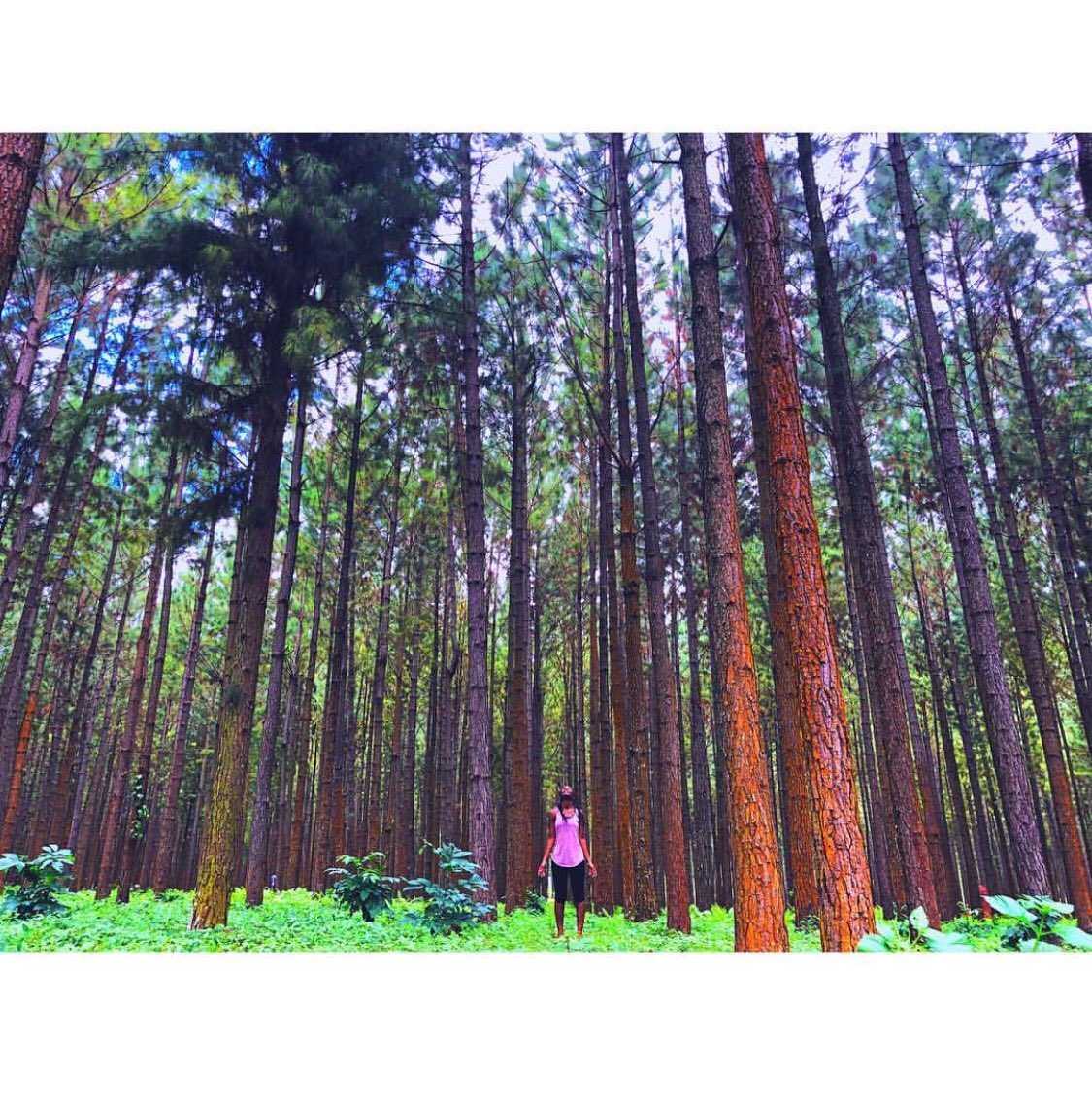 SydneysTravels's tweet photo. 📍🇺🇬|”And into the forest I go, to lose my mind and find my soul”
#sydneystravels #pearlofafrica #jinja #wakandaforever #uganda #visituganda #vscouganda #travelvlog #vlogger #youtuber #photooftheday #adventure #forest #roadtrip #journey 
@visitugandaUK 

https://t.co/AVUlzwxGEo https://t.co/cb3bgNmnut