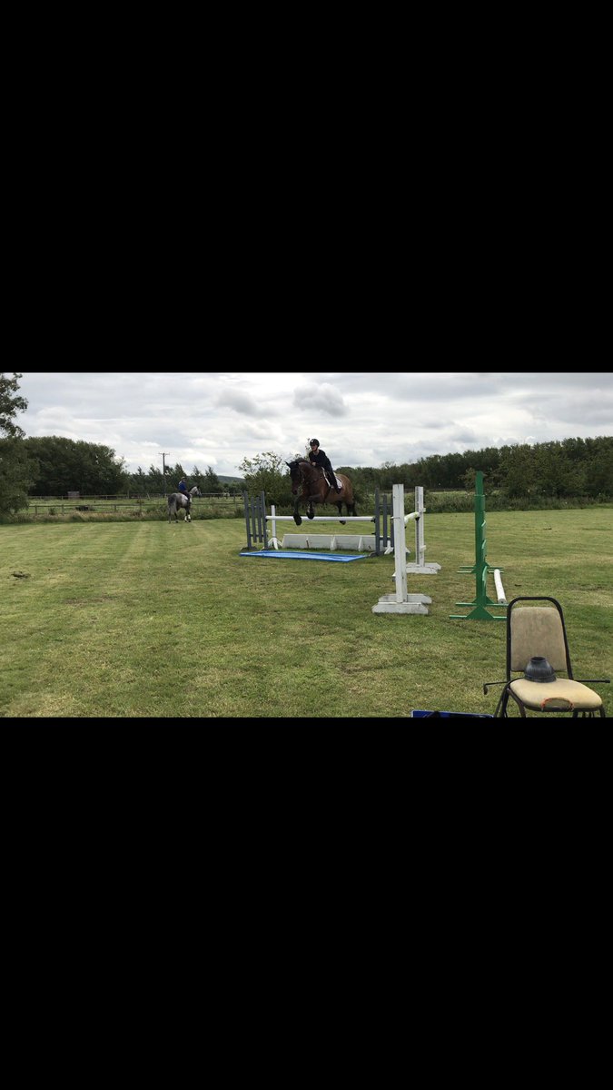 IsabelSaywell's tweet photo. Classy training today jumping amazing ready for Hickstead next week ✨❤️ https://t.co/YvqIJLikgC