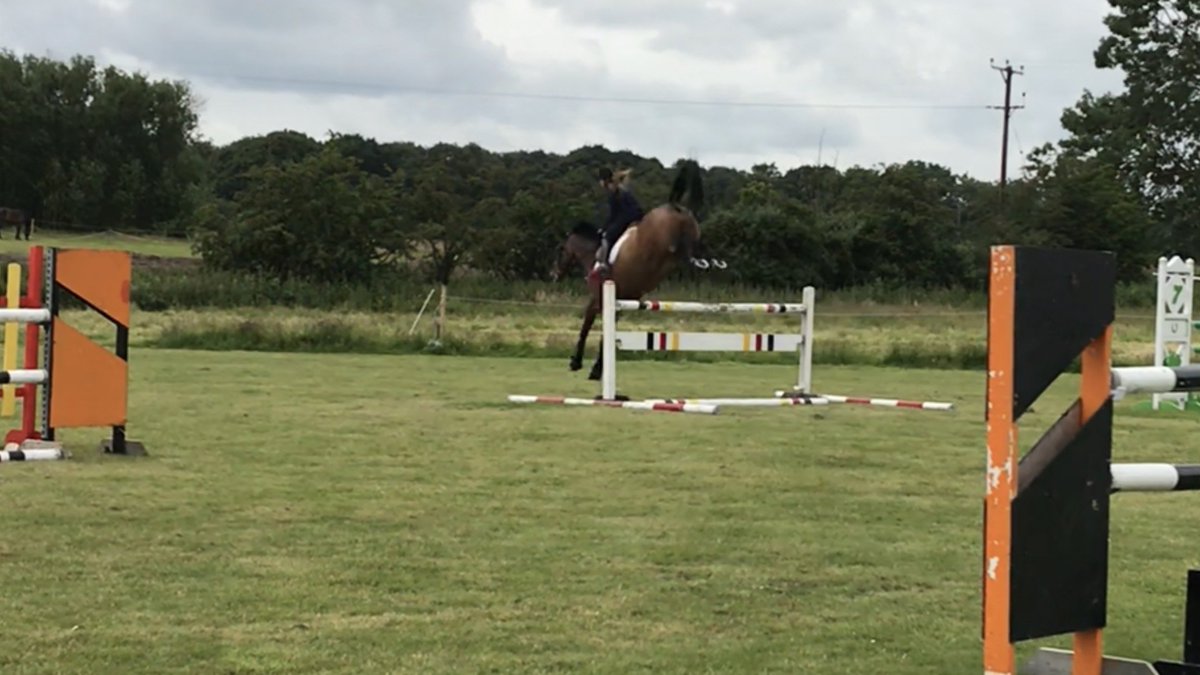 IsabelSaywell's tweet photo. Classy training today jumping amazing ready for Hickstead next week ✨❤️ https://t.co/YvqIJLikgC
