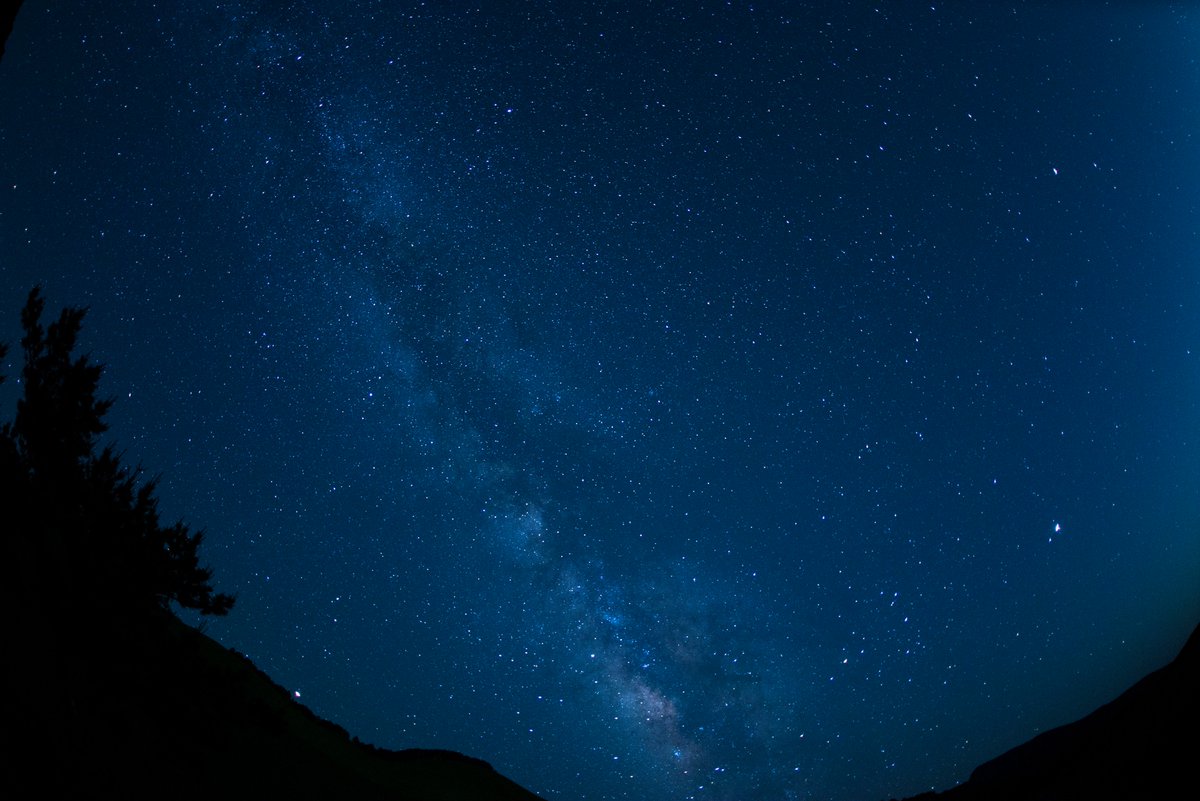 げんげん tweet media