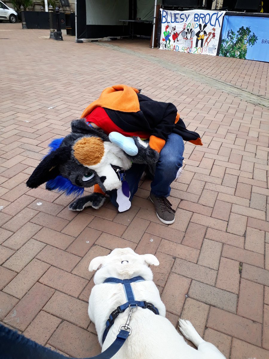 Sallyst83540181's tweet photo. #PJEgan making friends at #GoWildBham He Missed his fav hairy friend @PeterEgan6 though.. #BearHugs 🐾 https://t.co/2nXmTtKIRV