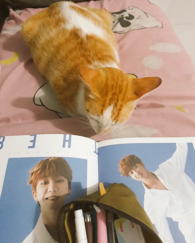 Yums — 🌸; (@GreatMolasses) / Posts / X