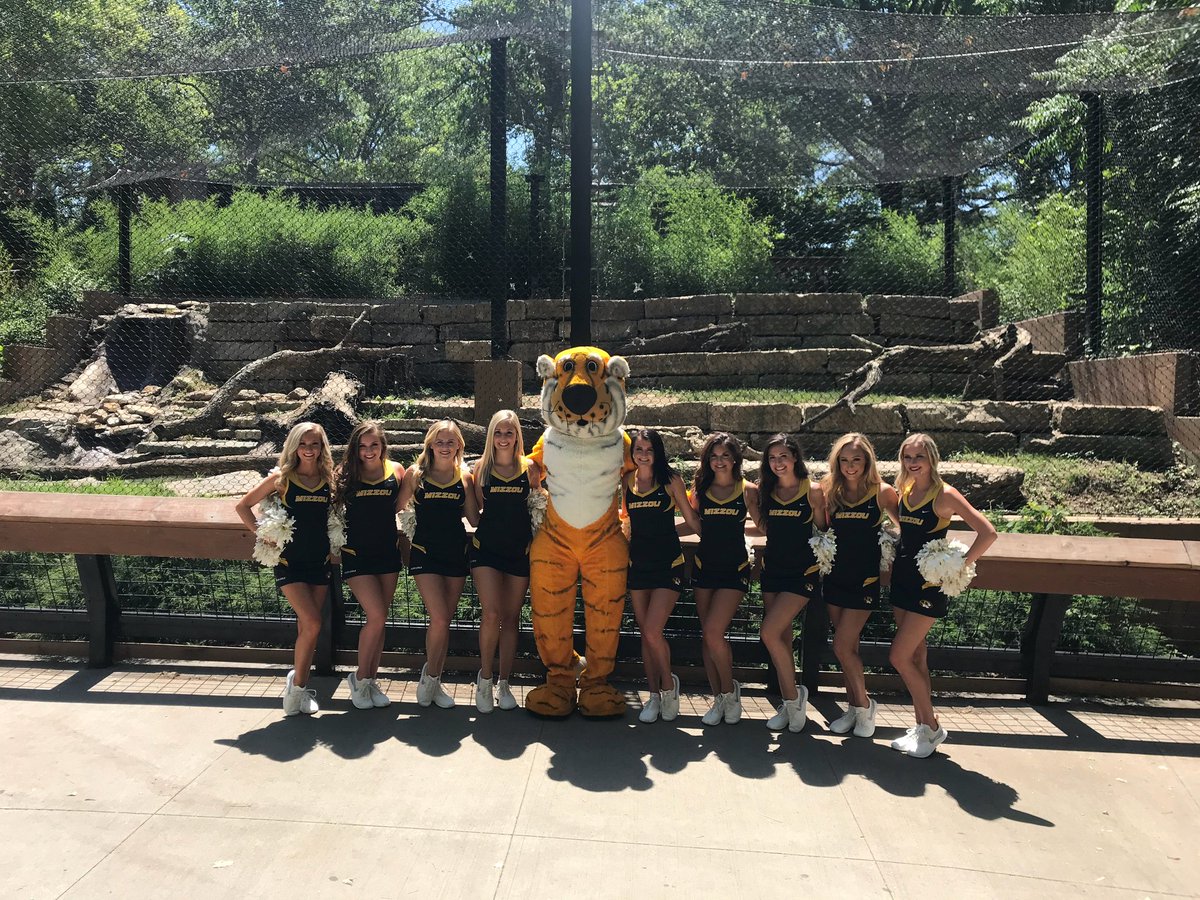 It's #Mizzou Day at the <a href="/KansasCityZoo/">Kansas City Zoo & Aquarium</a>! 

Plenty of Tiger sightings today 🐯

We're here until 2 PM 

#MIZ #ShowMe 🐯