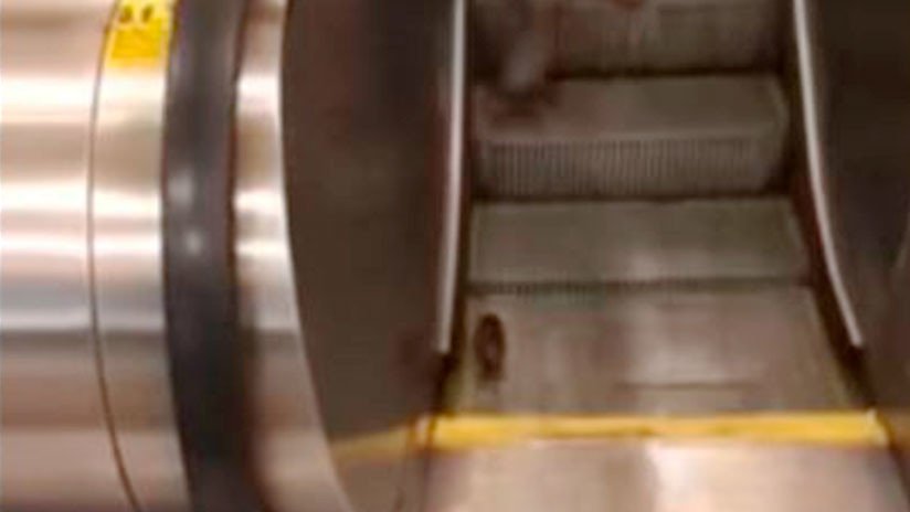 ActualidadRT's tweet photo. VIDEO: El triste final del 'entrenamiento cardio' de una rata en una escalera de metro de Nueva York
https://t.co/xBTprdcn1m https://t.co/PwiNxyxlzL