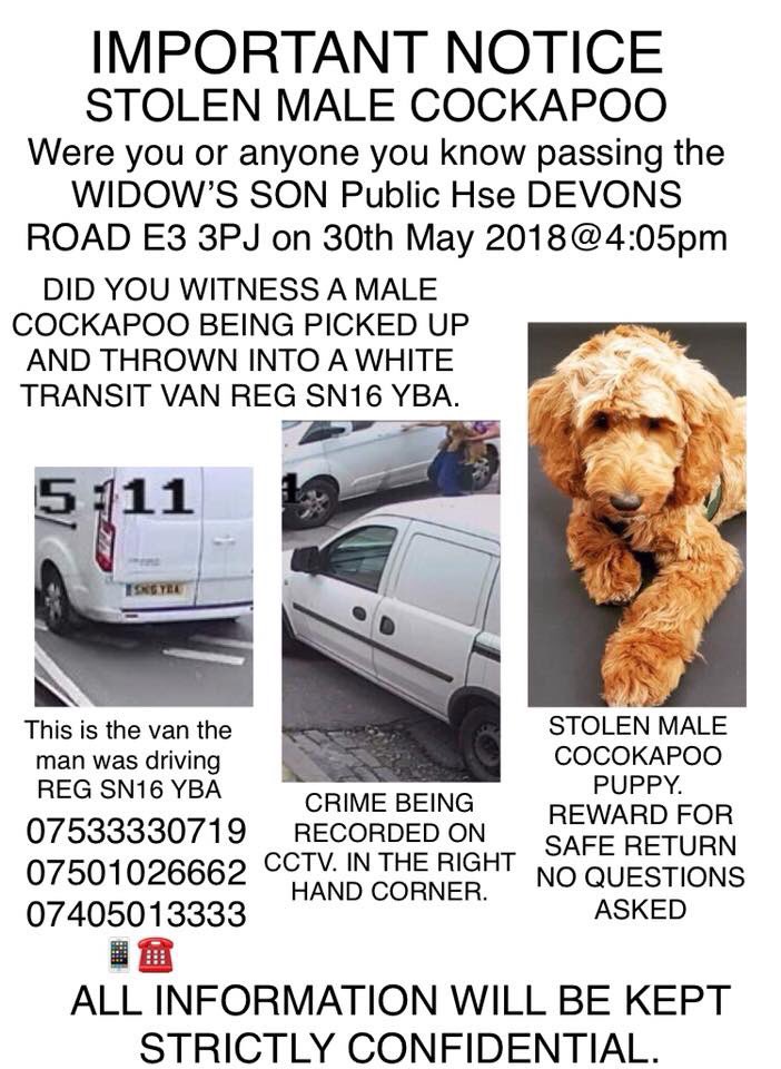 MissingPetsGB's tweet photo. 🐶 HAVE YOU SEEN OSCAR? 
DO YOU KNOW THE MAN IN CCTV?
 OSCAR was #stolen by driver of a 2016 white #ford diesel van.

#E3 
#London 
30th may 2018
#cctv released of man picking up Oscar outside Widow's Son Pub and throwing him into the van!
#FindStolenOscar
https://t.co/0rRwynwrkX