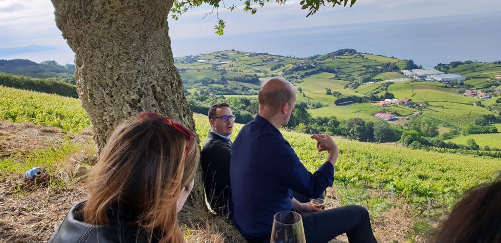 Pacomoraleschef's tweet photo. En la vida de cocinero esto es un lujo para mi. 

Aitor de manera generosa te enseña su paisaje culinario desde su árbol favorito. 

Sin palabras, no tiene precio. 

Mila esker! 

@ Elkanojatetxea https://t.co/Qzza1Gdtzg
