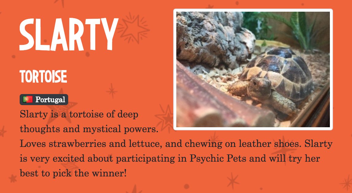PsychicPets's tweet photo. Pet of the day is Slarty the tortoise! Slarty loves eating strawberries, lettuce and leather shoes. Despite supporting Portugal Slarty correctly predicted France to beat Australia today. https://t.co/V5kYreIgAi https://t.co/tkbtfw73I4
