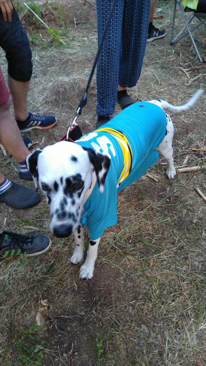 Nyt on S6lla rastivainu kohdallaan! #suunnistus #jukola2018