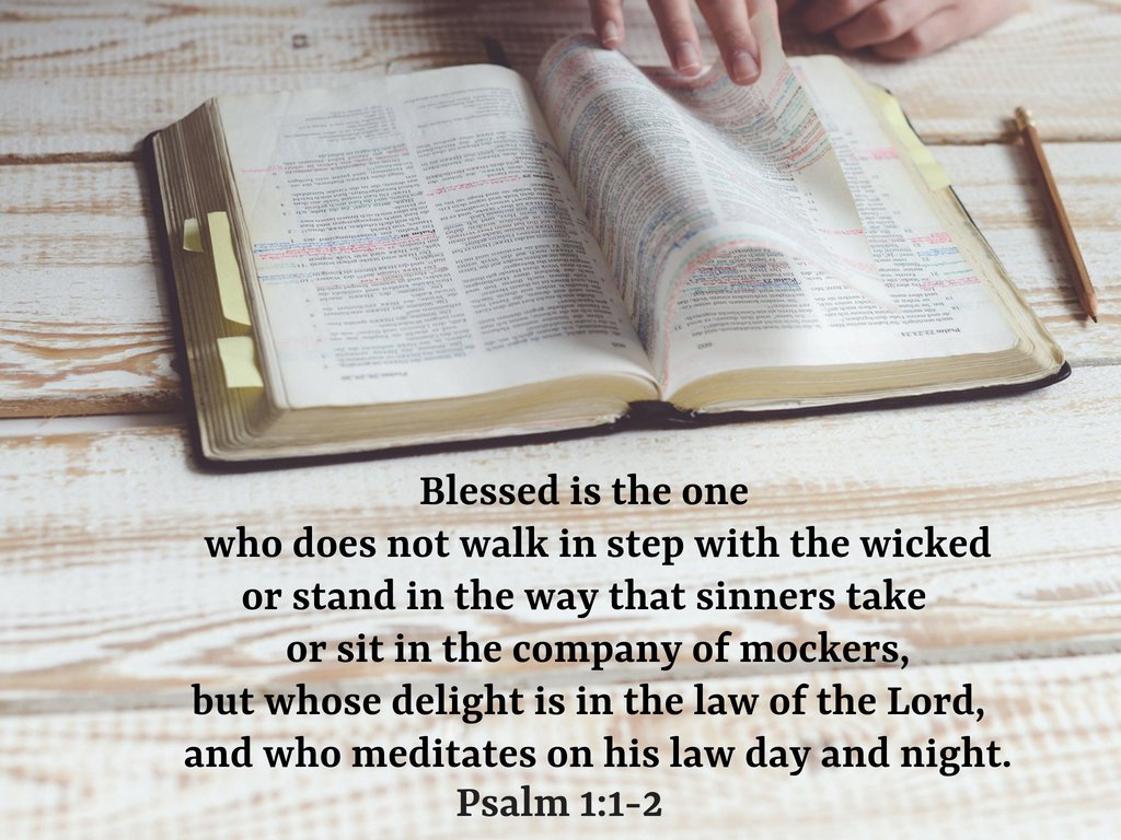 ctkwax's tweet photo. #ctkwax https://t.co/khmTSdDdBh