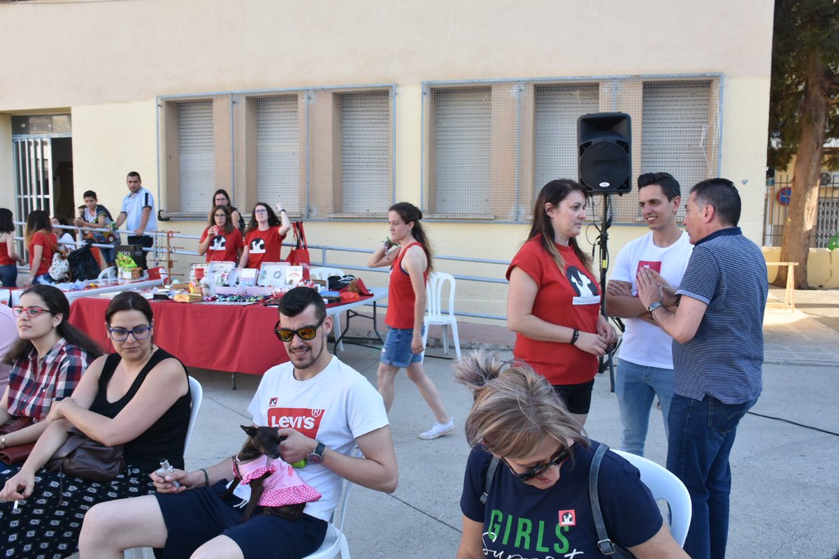 AytoArchena's tweet photo. La Asociación Animales del Valle ha celebrado hoy en los patios del viejo colegio Miguel Medina el Tercer Concurso de #Mascotas, dentro de los últimos actos de las Fiestas Patronales #Archena #Corpus18. Los concejales @marioalcaraz_ y @JJSeguridad67 han acudido a la inauguración https://t.co/TQLTmzxi7e