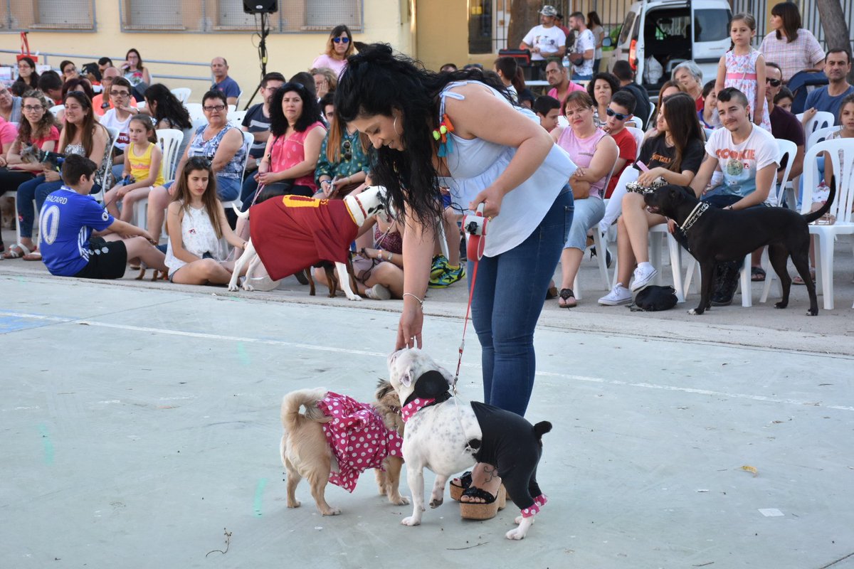 AytoArchena's tweet photo. La Asociación Animales del Valle ha celebrado hoy en los patios del viejo colegio Miguel Medina el Tercer Concurso de #Mascotas, dentro de los últimos actos de las Fiestas Patronales #Archena #Corpus18. Los concejales @marioalcaraz_ y @JJSeguridad67 han acudido a la inauguración https://t.co/TQLTmzxi7e