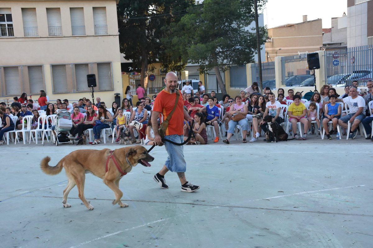 AytoArchena's tweet photo. La Asociación Animales del Valle ha celebrado hoy en los patios del viejo colegio Miguel Medina el Tercer Concurso de #Mascotas, dentro de los últimos actos de las Fiestas Patronales #Archena #Corpus18. Los concejales @marioalcaraz_ y @JJSeguridad67 han acudido a la inauguración https://t.co/TQLTmzxi7e