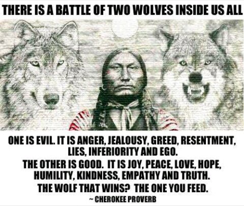 bruntofitall's tweet photo. Choose wisely...
#TwoWolves #CherokeeProverb https://t.co/KJi6LDwQlB