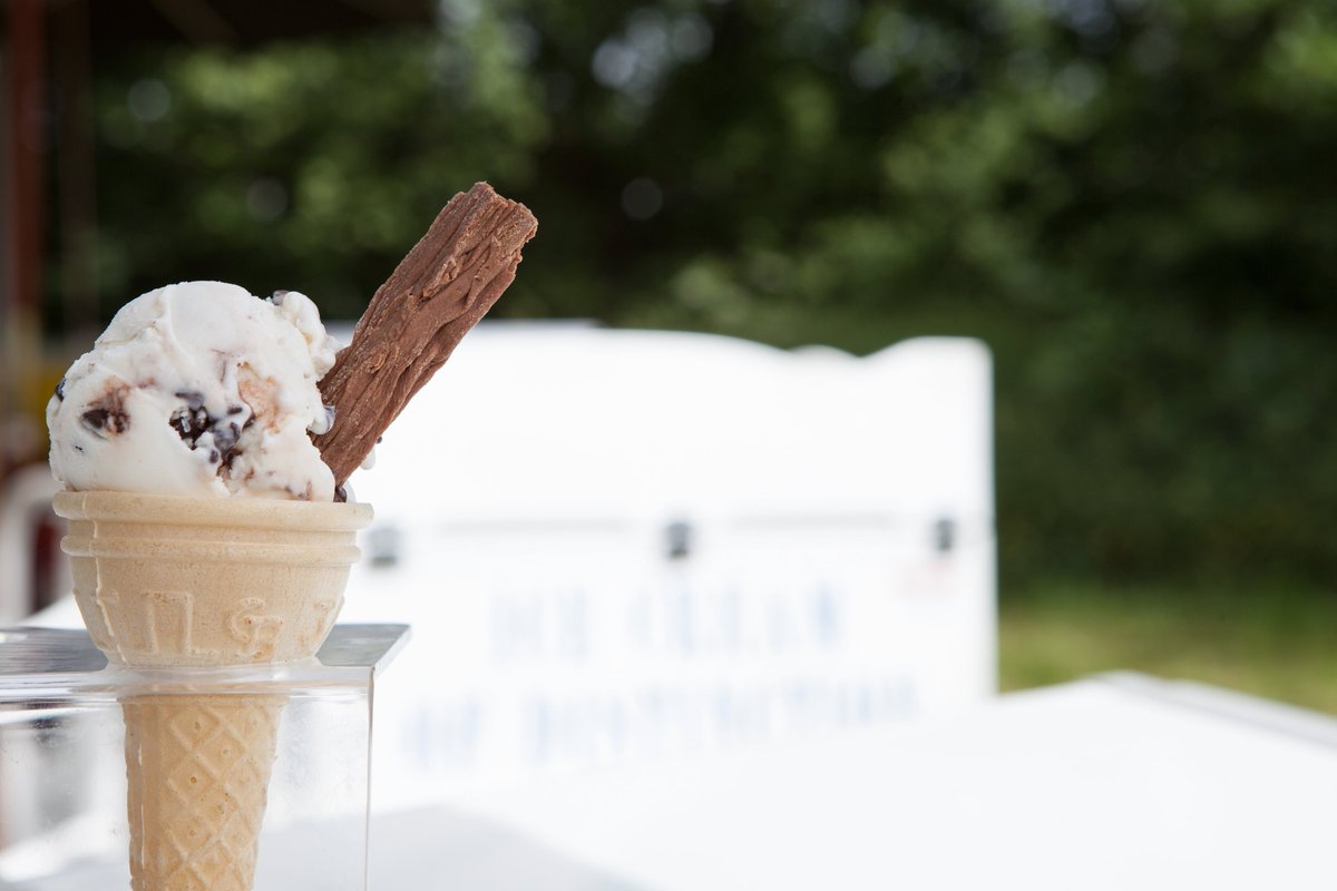 LISA THEWLIS-HARDY tweet media