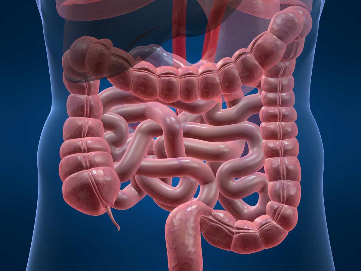 Exelume's tweet photo. New York Times: Antibiotics in Meat Could Be Damaging Our Guts The F.D.A. banned the use of antibiotics for growth promotion in animals last year. https://t.co/tWk0h89Z1J #infection #superbugs #antibiotics https://t.co/QSS5hmMjEO