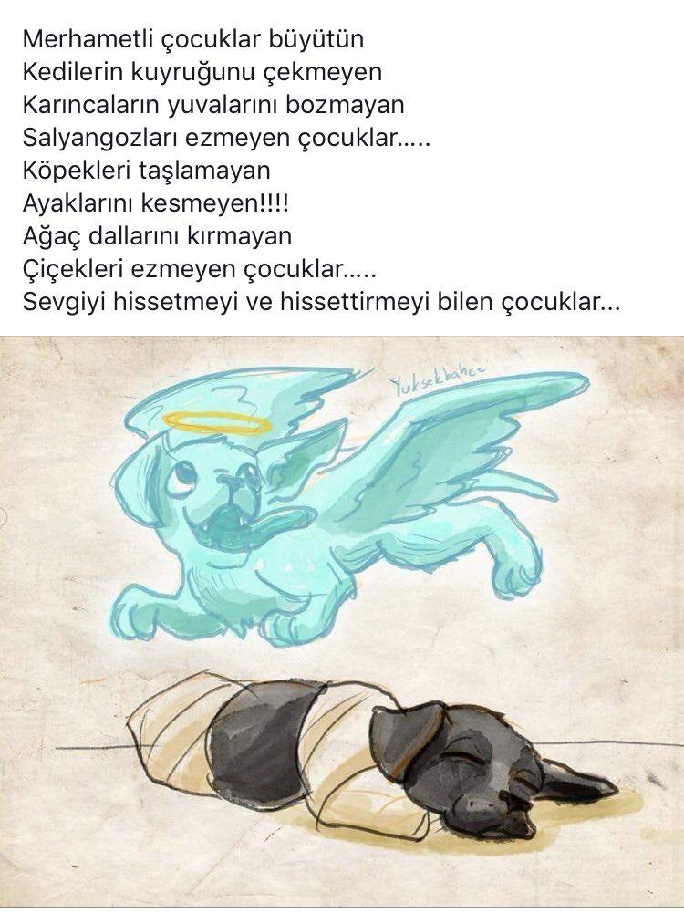 cigdem_dere's tweet photo. https://t.co/papp2jdySu