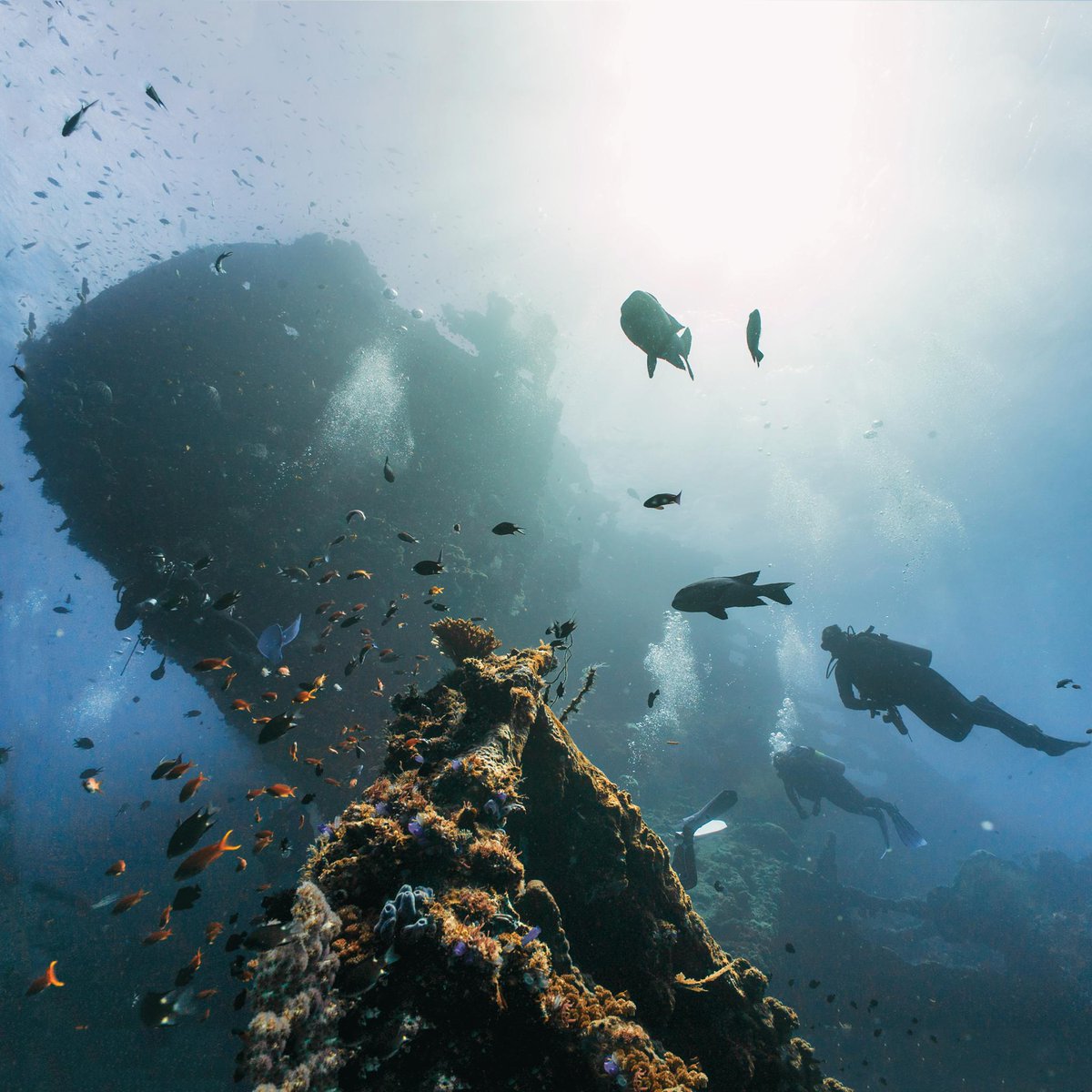 PADI's tweet photo. USAT Liberty is on the north coast of Bali, and was sunk by a volcano. The American WW2 ship was torpedoed and left on the shore. Years later Mt. Agung exploded and rolled the boat back into the ocean where it sunk just a handful of meters offshore. 📷: @fearlessandfar https://t.co/uuXvhUanMz