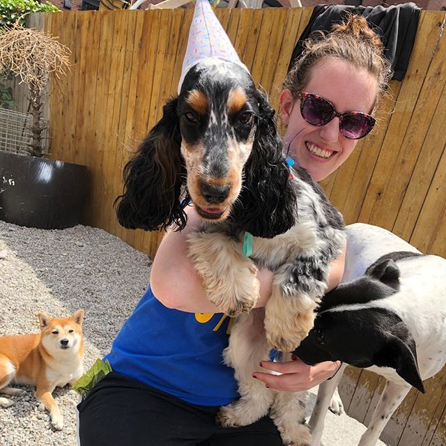 theurbanhound's tweet image. Happy 1st birthday to Mr. Ruddy! 🎈 We're so excited to hang out with you on this special day! 🎂
·
·
·
#theurbanhoundhotel #urbanhound #dogsofthesouthend #dogsofboston #theurbanhound #southenddogs #bostondogs #bostondogtrainer #bostondogwalker #boston… ift.tt/2lc9JEk