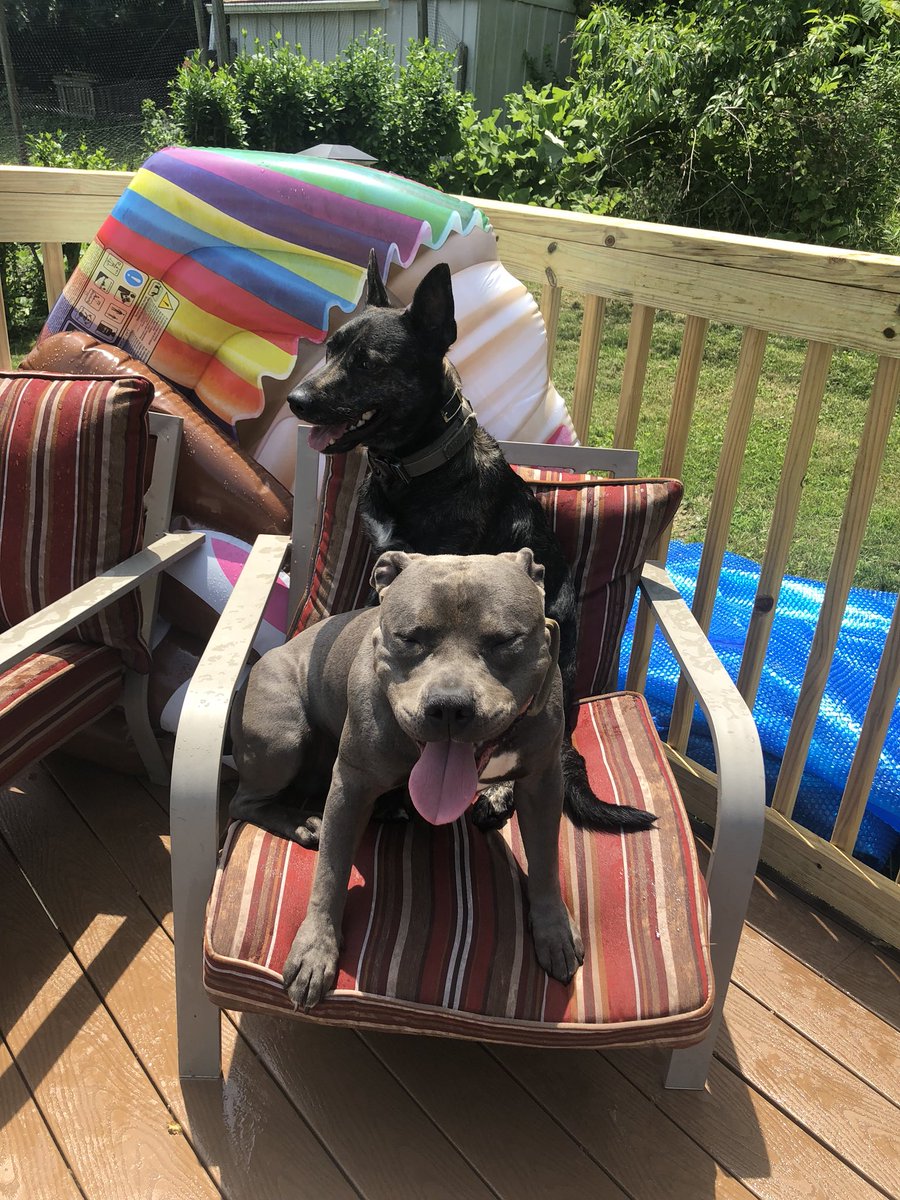 _Blaccwater77's tweet photo. Homies chillen poolside https://t.co/r9AINyjXmY