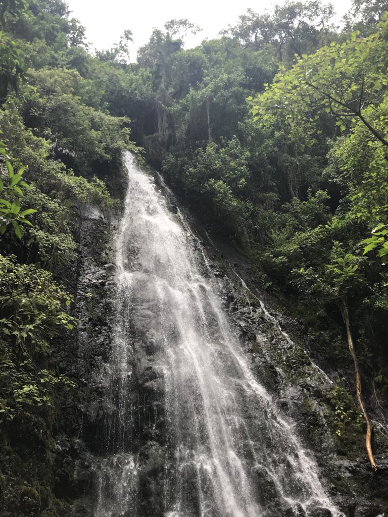 QueenHistorian's tweet photo. #HamamaFalls #Oahu #HawaiiHiking https://t.co/vAcnqJZ8Al