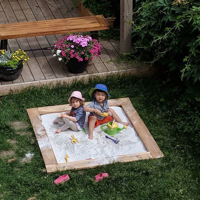 jennzia's tweet photo. Another day, another backyard. You're having so much fun exploring new backyards, it almost makes me want one...but not yet. #100daysofJax https://t.co/BeMfkmcQ3l https://t.co/DdyHHWZRHA