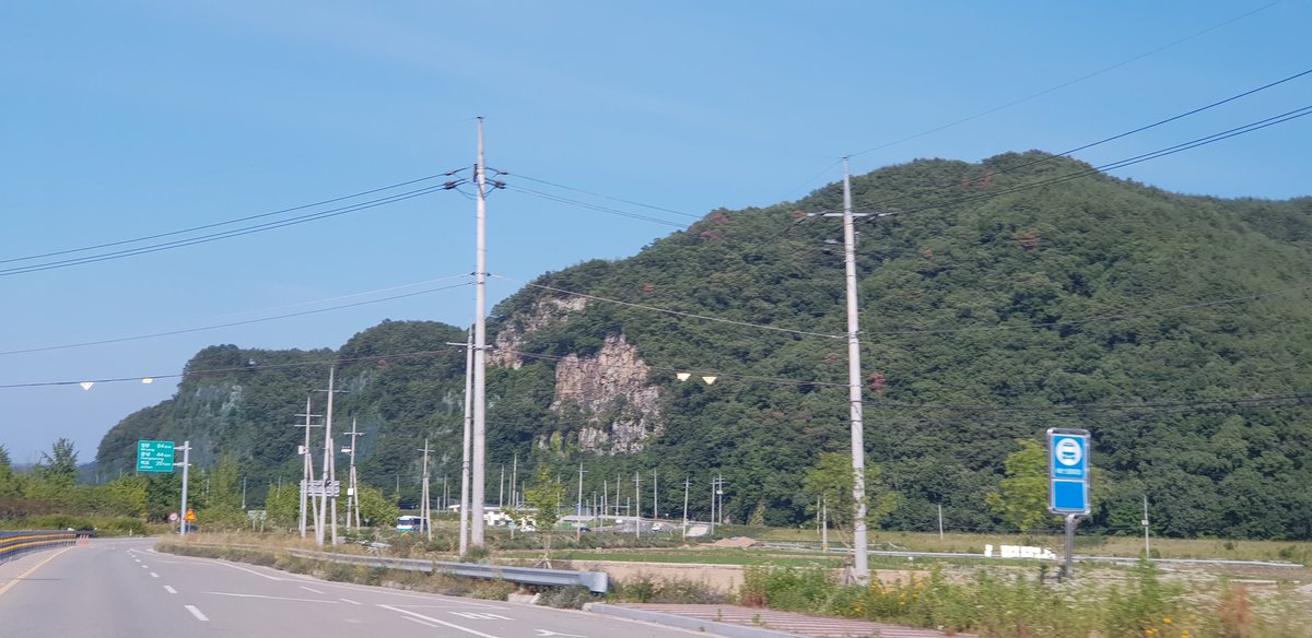 supsansa's tweet image. 내 고향 합천 읍내에도 초계에도 온통 소나무제선충병이 확산되었구나..방제성공은 아닌데 벌써축배잔을 들고 있는듯하여 안타깝다.