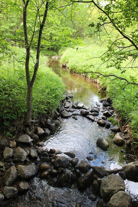 IntuitiveRevKev's tweet photo. A stream of living water flows! https://t.co/L1QO2JPUn0 https://t.co/15fYcNIc5n