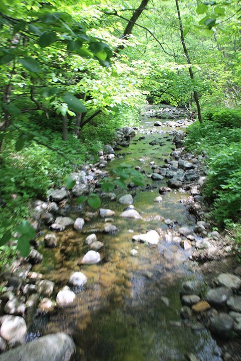 IntuitiveRevKev's tweet photo. Streams of pure spring water https://t.co/L1QO2JPUn0 https://t.co/sjnvIGZAyp