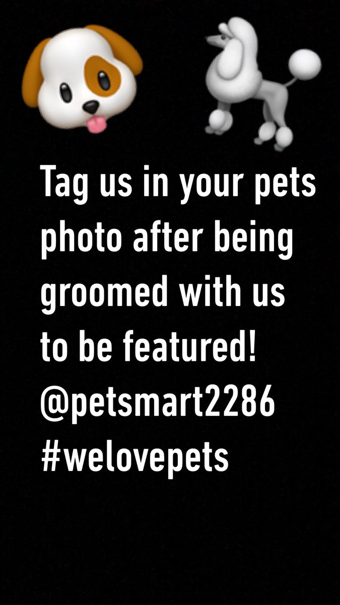 Has your pet been pampered by us recently? Snap a photo and tag us so your pet can be featured!